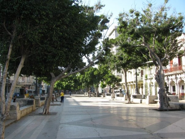 Paseo del Prado景点图片