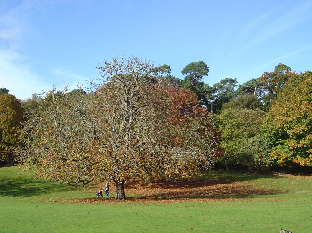 Brownsea Island-普尔必去景点