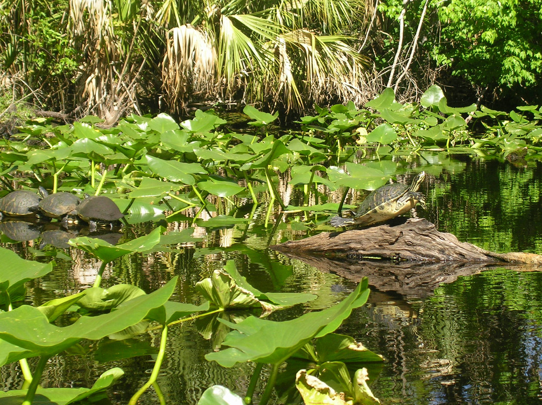 Wekiva Springs State Park