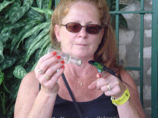 罗克兰兹鸟类保护区-Wiltshire必去景点