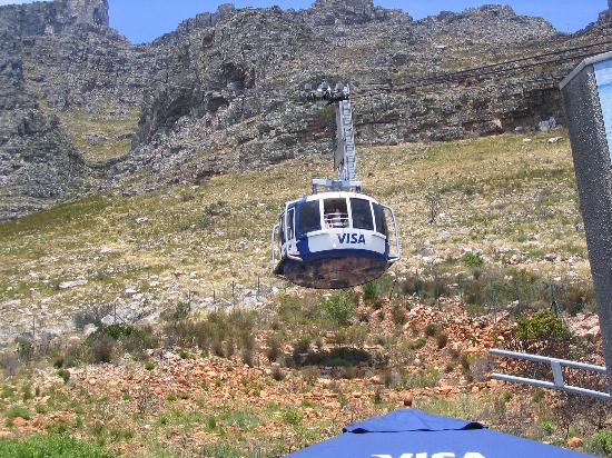 桌山-桌山国家公园必去景点