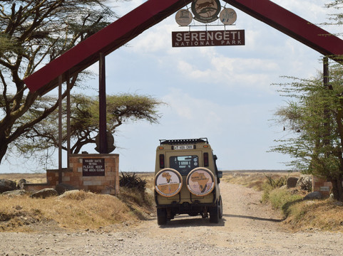 #1 BURIGI CHATO SAFARIS CO LTD- Tanzania Safari | Serengeti Migration Safari | Kilimanjaro Operators