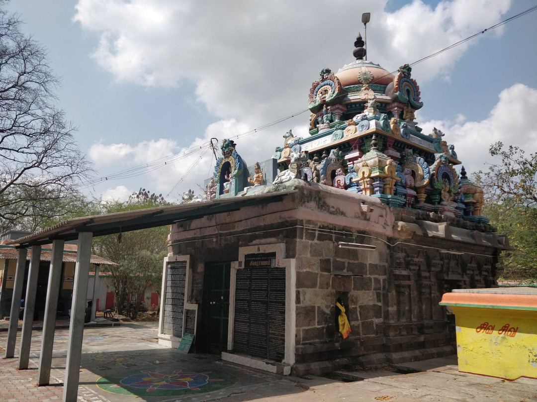 Sri Anegathangavadeswarar Temple-甘吉布勒姆必去景点