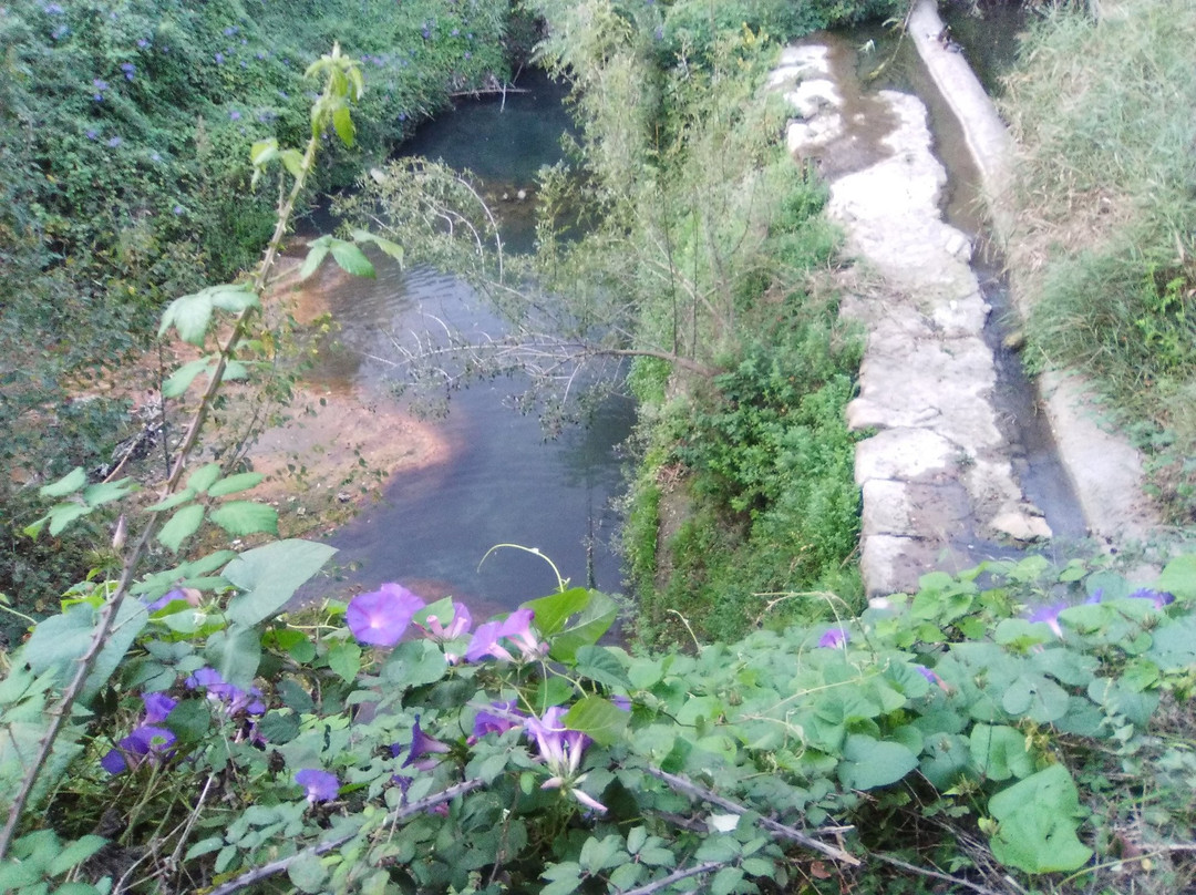 Parc de Mas Miquel景点图片