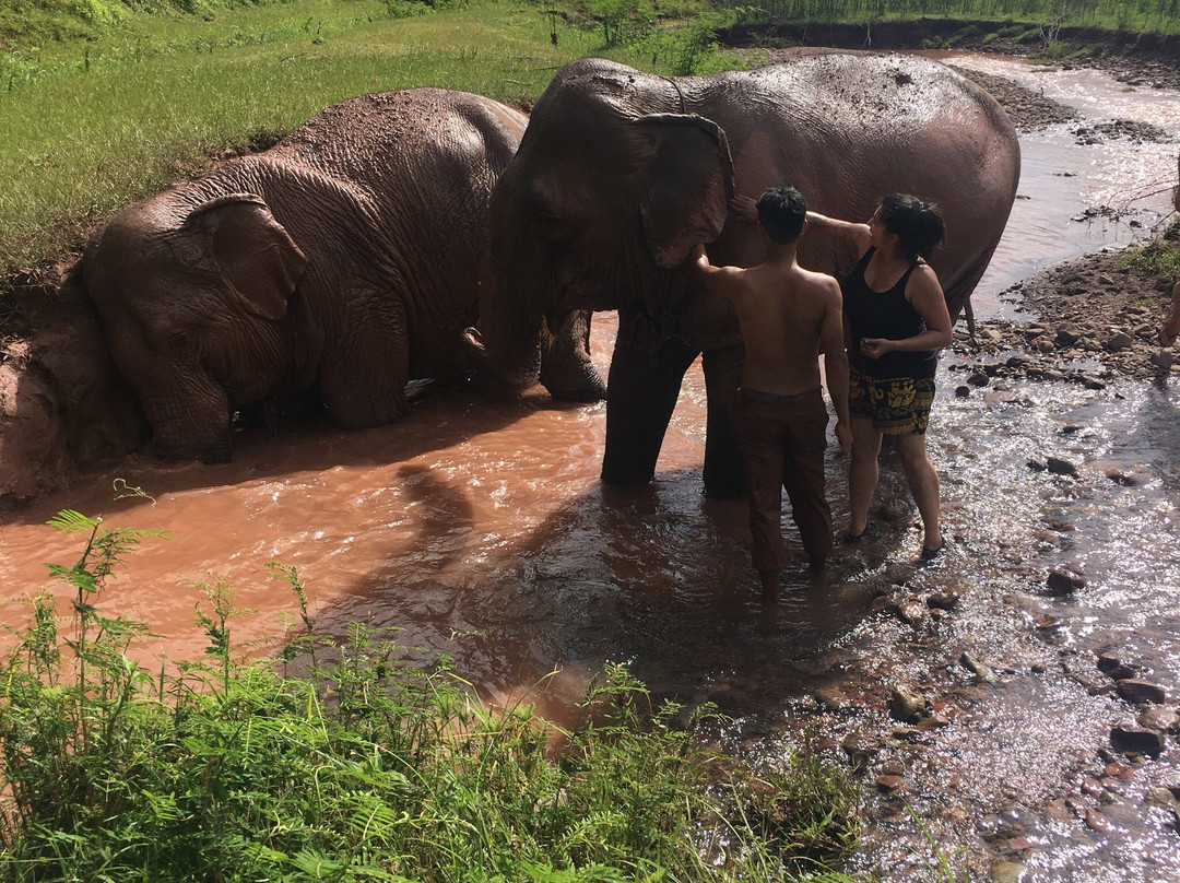 Vang Vieng Elephant Sanctuary景点图片
