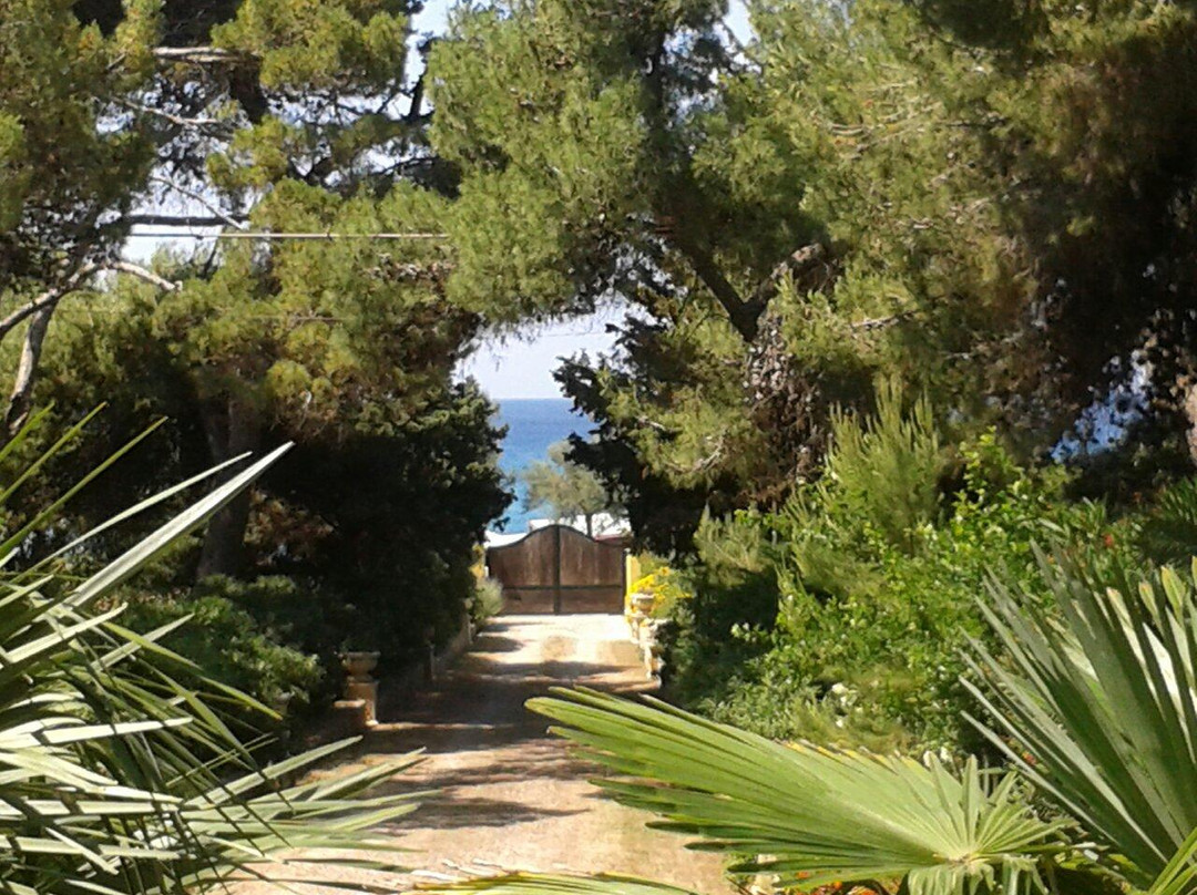 Lido Conchiglie餐馆和美食-Dimora Relais Excelsa Bed & Breakfast