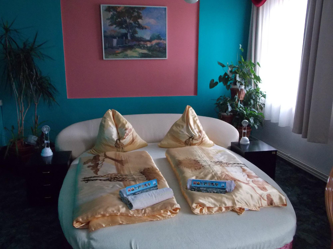 Jablonec nad Nisou酒店住宿-Pension Ayky