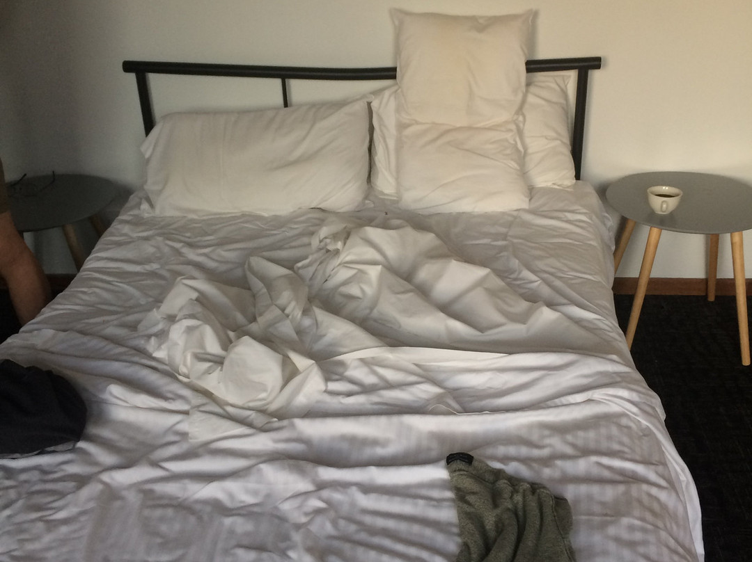 Caledonian Inn Motel主图