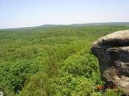 Shawneetown旅游攻略图片