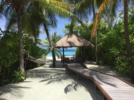 马尔代夫悦榕度假村主图