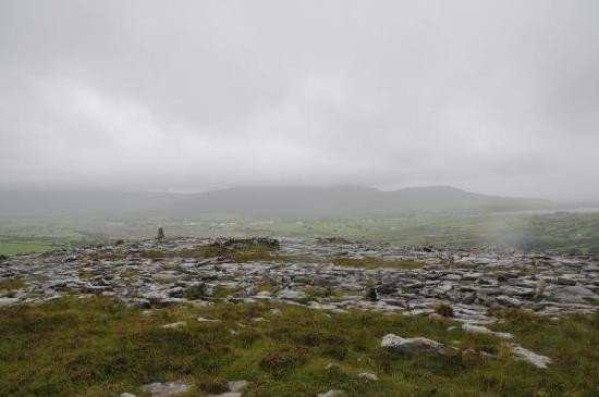 Burren Wild Tours景点图片