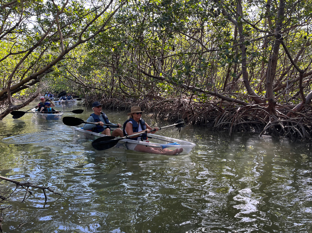 Get Up And Go Kayaking - Naples-博尼塔斯普林斯必去景点