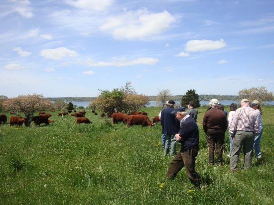 Watson Farm-Jamestown必去景点