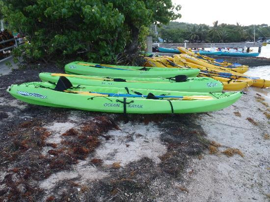 Las Tortugas Adventures-Canovanas必去景点