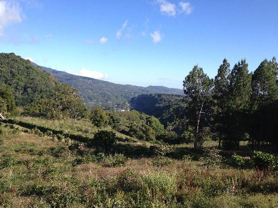 Full Adventures Boquete-波魁特必去景点