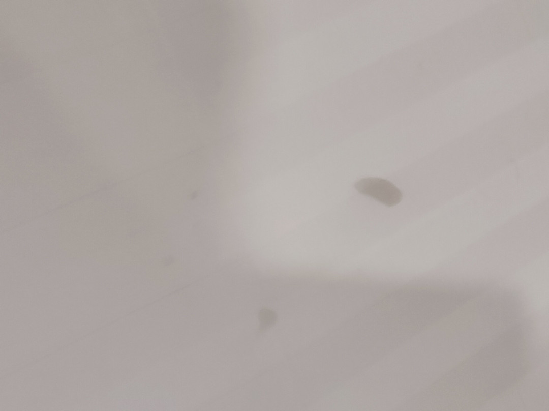 Vega Hotel Gading Serpong主图