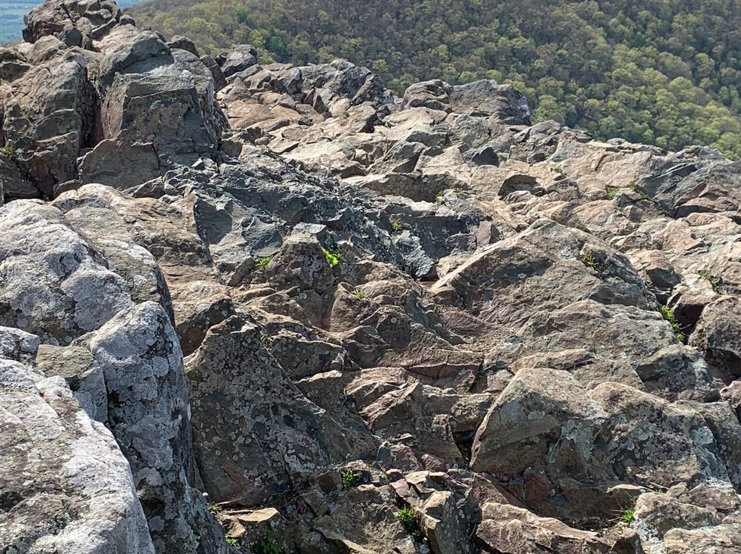 Hawksbill Mountain景点图片
