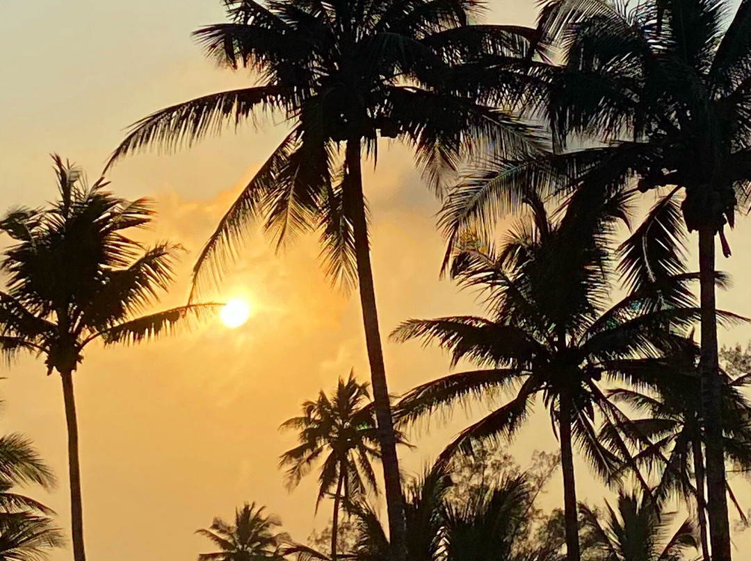 Hotel Estrella Del Mar主图