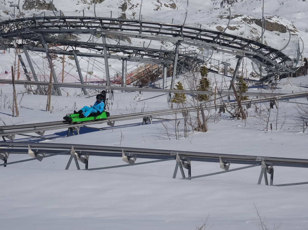 Luge 4 Saisons sur Rail景点图片