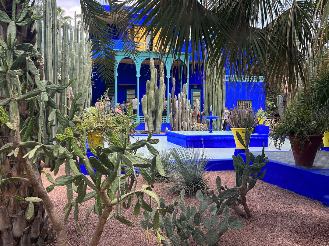 Family Morocco Tour-丹吉尔必去景点