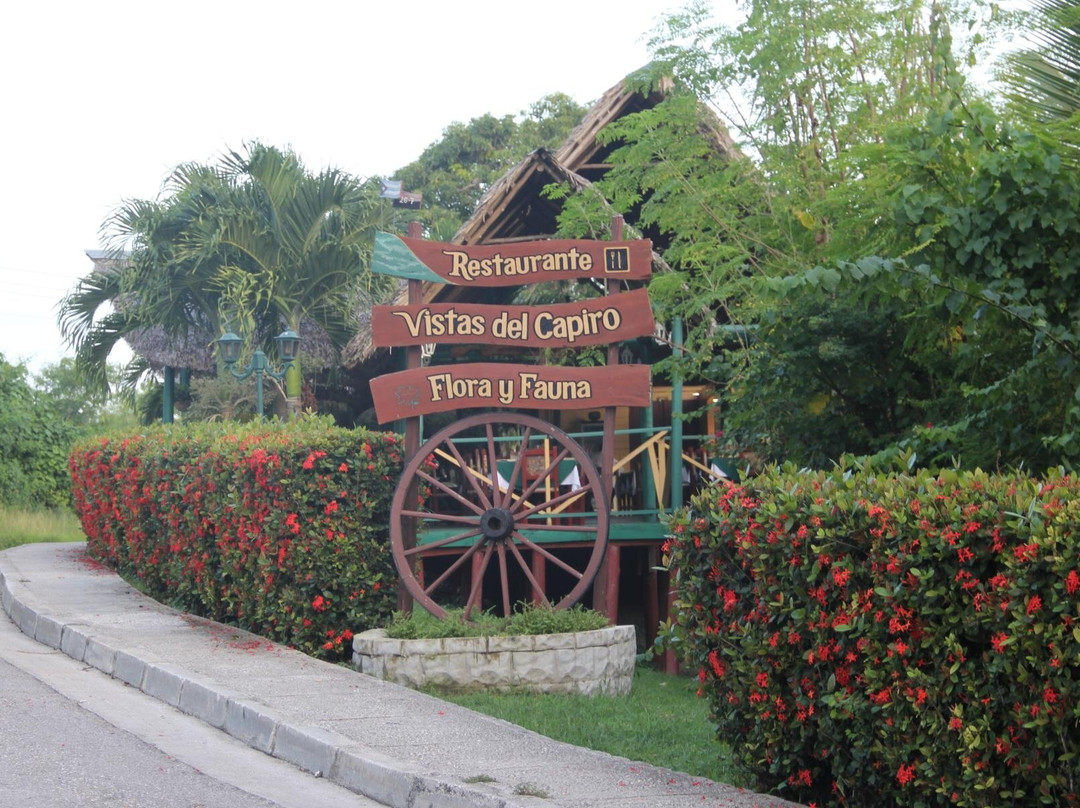 Loma del Capiro景点图片