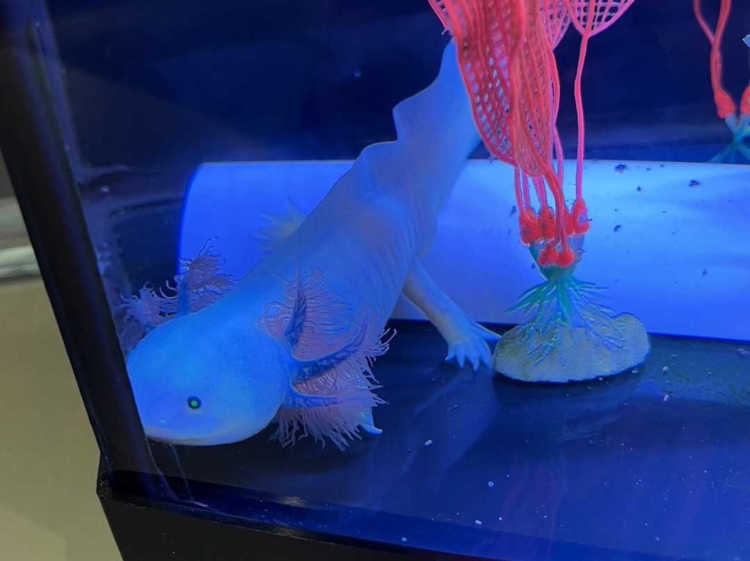 Science Mill-Johnson City必去景点