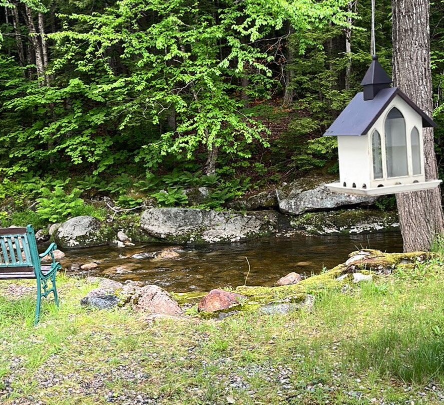 Mt. Coolidge Motel主图