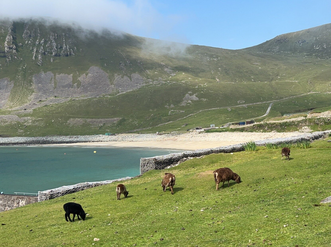 Uist Sea Tours景点图片