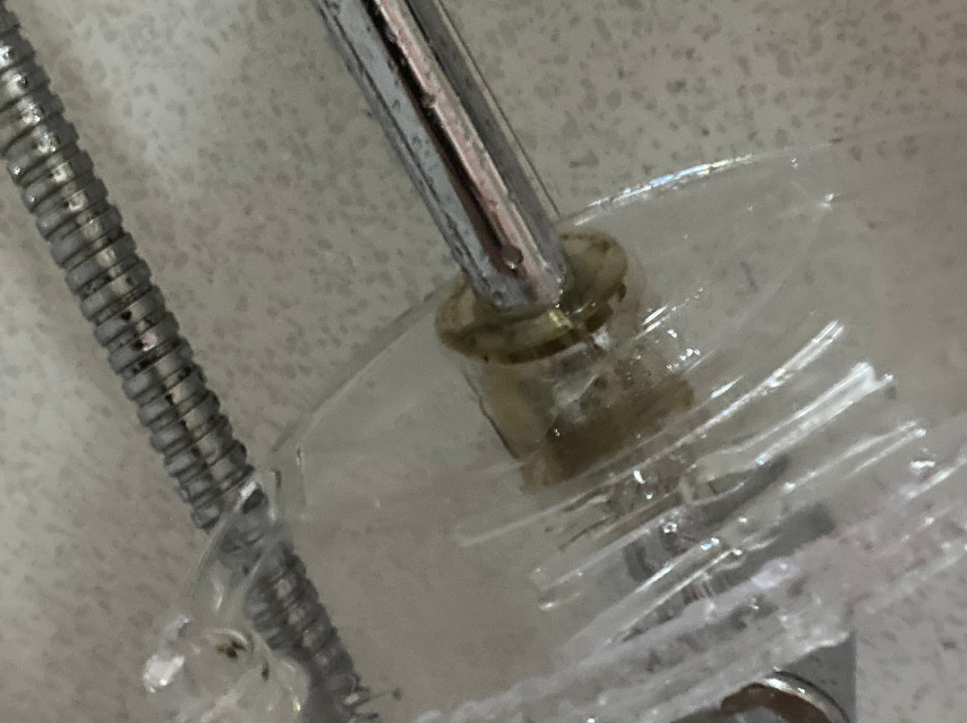 The Pearl Hotel主图