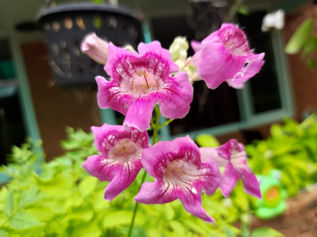 萨森山姆酒店主图