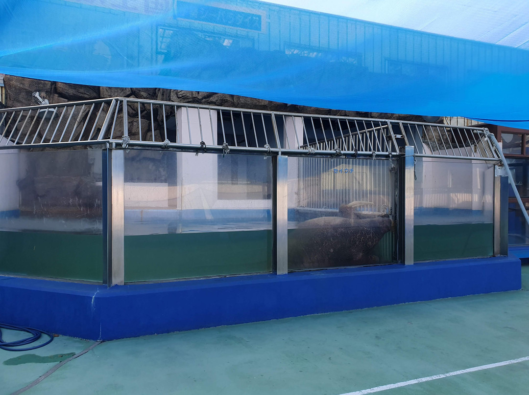 Ise Meotoiwa Interactive Aquarium (Ise Sea Paradise)-伊势市必去景点
