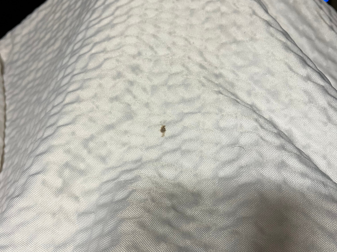 Red Roof Inn Boston Southborough/Worcester主图