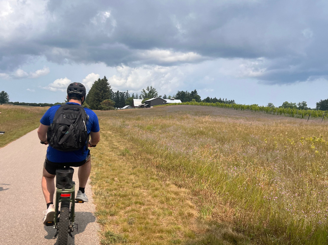 Charter Sailing and E-bike Tours-特拉弗斯城必去景点