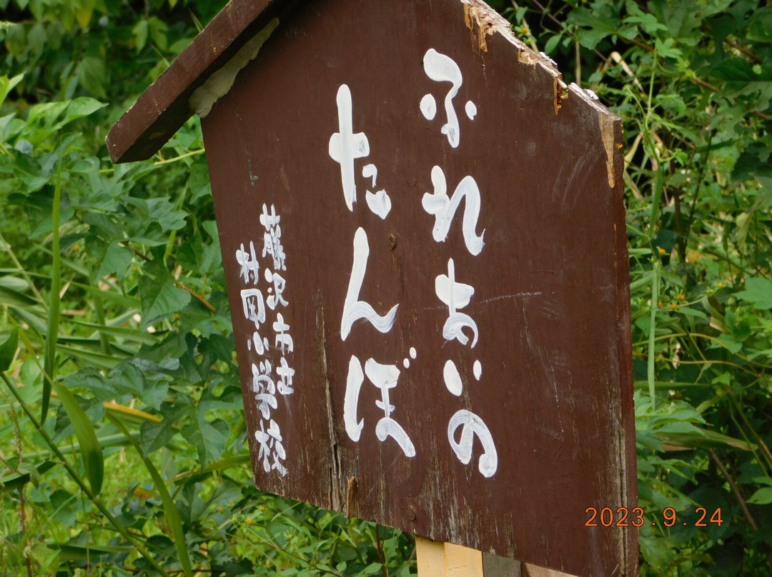Shinbayashi Park-藤泽市必去景点