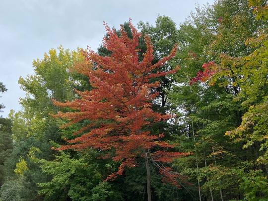 The Timbers Golf Club-Tuscola必去景点