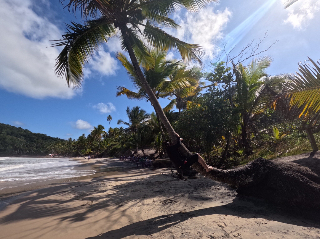 Engenhoca Beach-Itacare必去景点