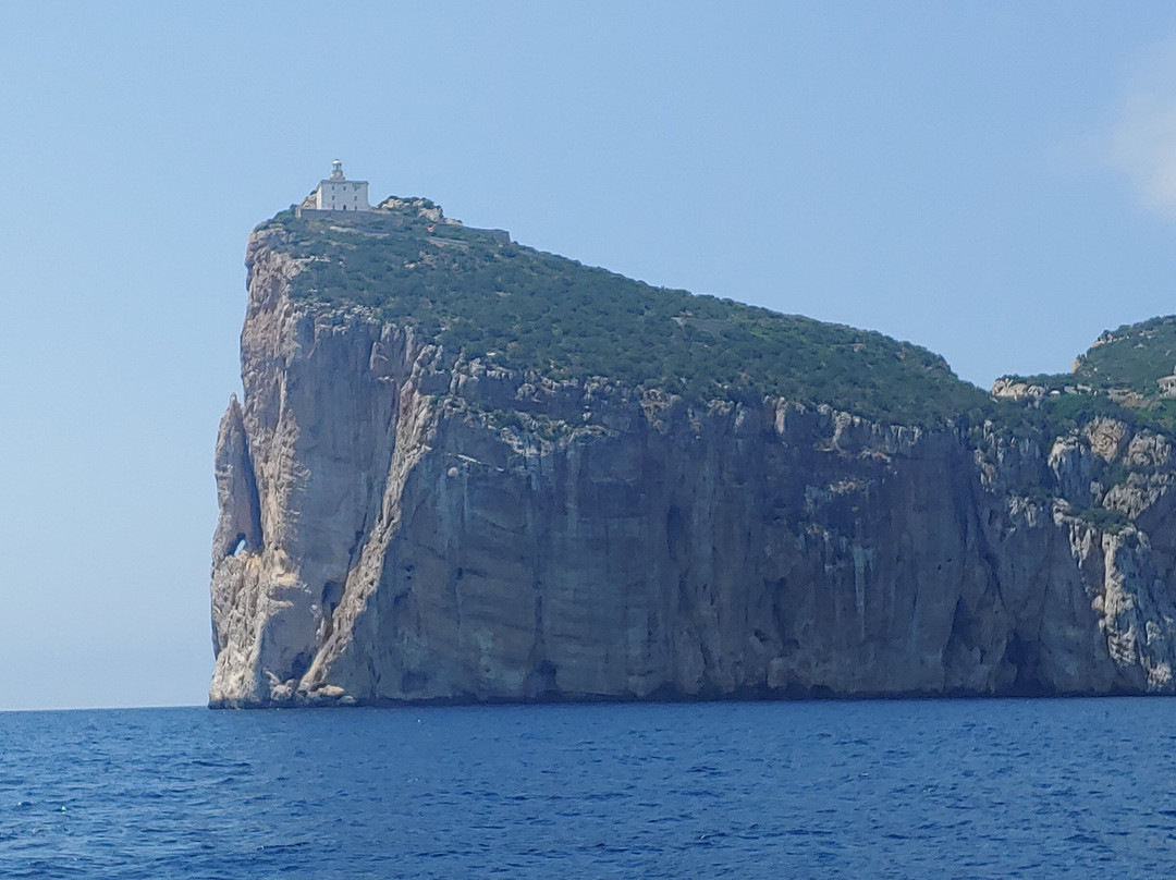 Freccia delle Grotte - Escursioni Grotte di Nettuno-阿尔盖罗必去景点