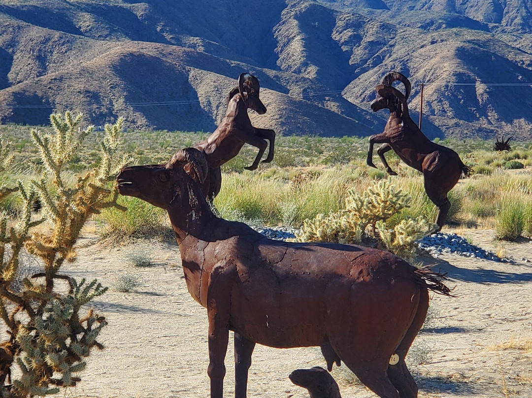 Borrego Springs Farmers Market-波瑞戈泉必去景点
