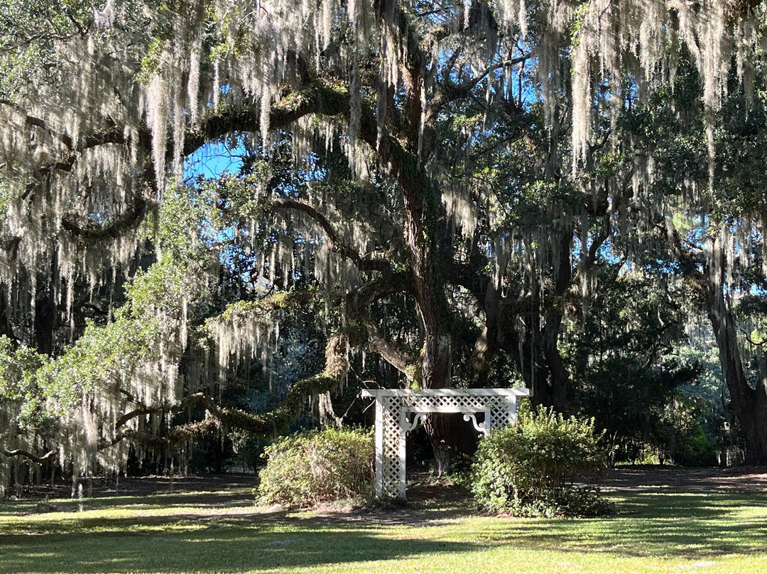 Charles Towne Landing State Historic Site-查尔斯顿必去景点