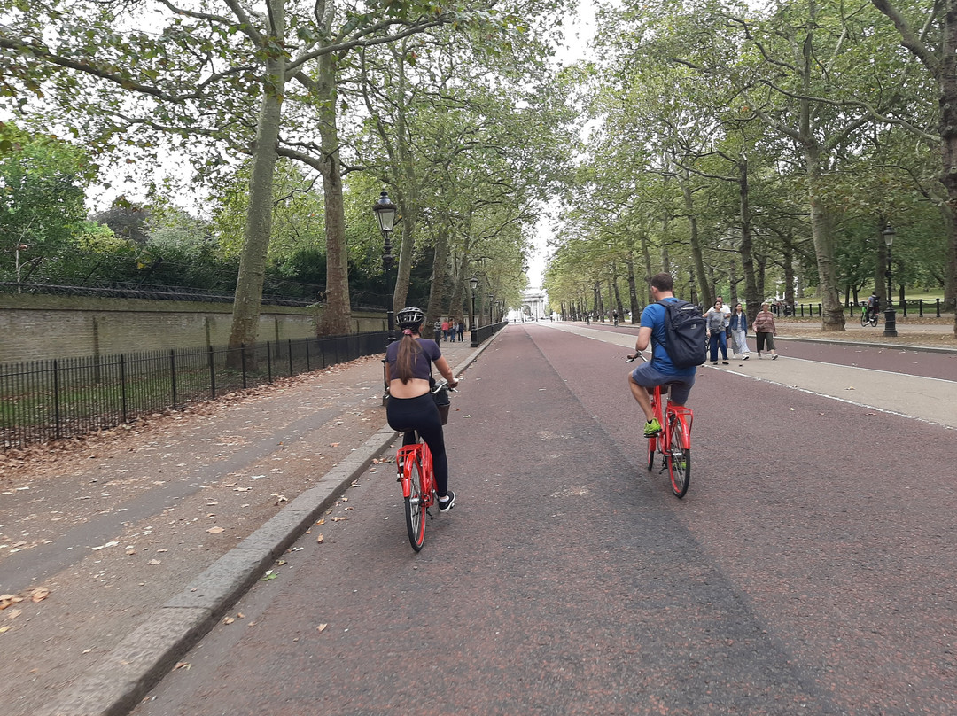 Red Bike Tours Limited景点图片