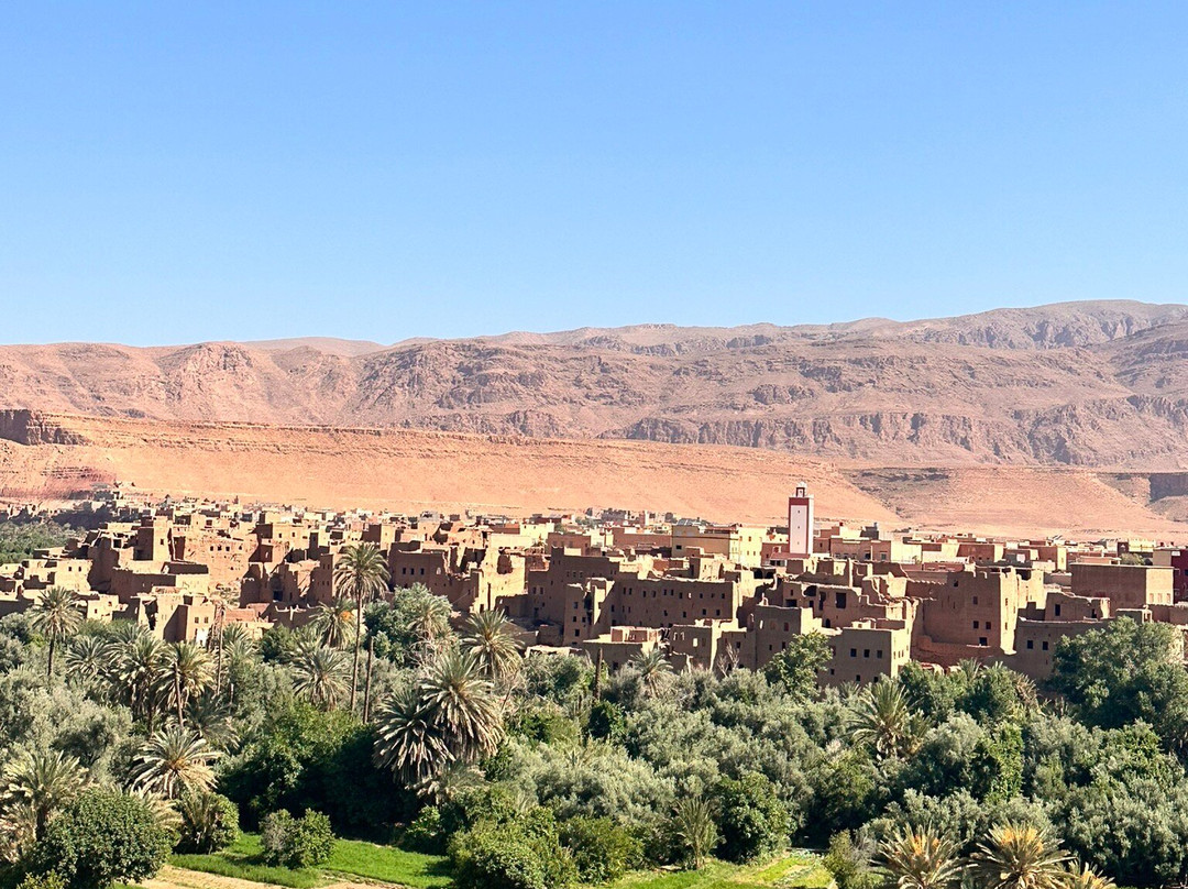 Iconic Morocco Tours-非斯必去景点
