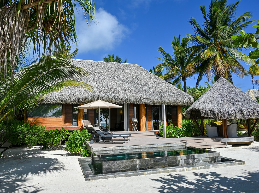 白兰度山林小屋主图
