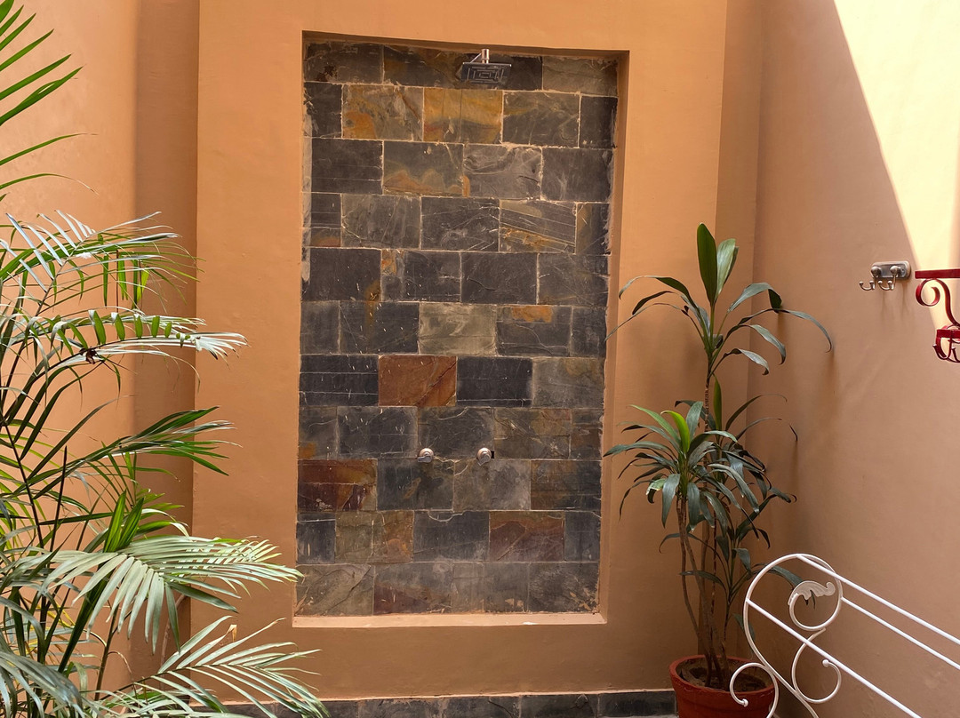 Ranthambhore Kothi主图