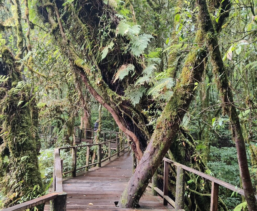 Nature Trails Ang Ka-宗通必去景点