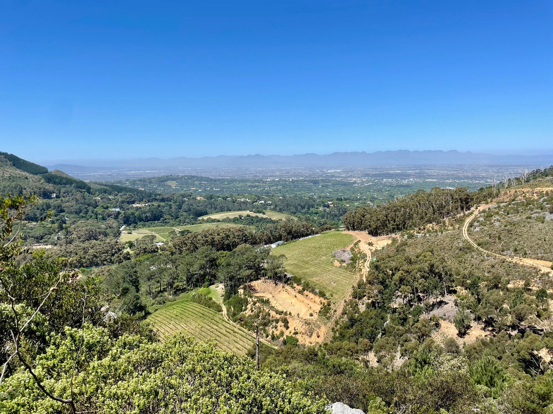 SA Forest Adventures-康士坦提亚必去景点