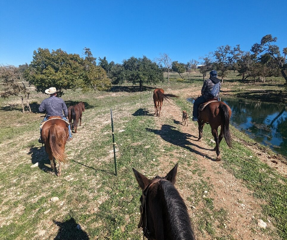 Tres Molinos Resort & Event Center-Harper必去景点