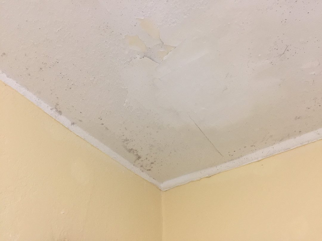 Days Inn by Wyndham Knoxville East主图