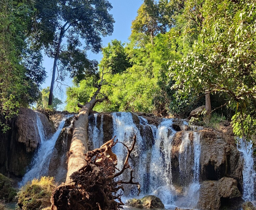 Doi Phu Nang National Park-清芒必去景点