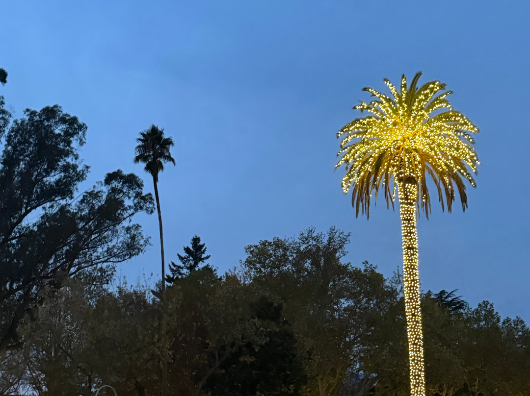 Sonoma Plaza景点图片