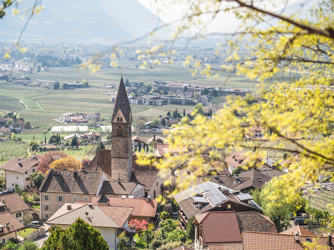 Chiesa Parrocchiale di Sant'Ippolito ed Erardo景点图片